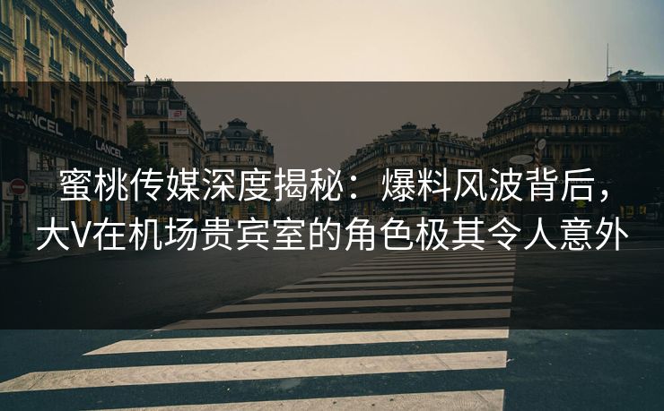 蜜桃传媒深度揭秘：爆料风波背后，大V在机场贵宾室的角色极其令人意外