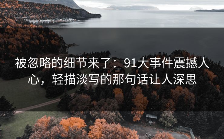 被忽略的细节来了：91大事件震撼人心，轻描淡写的那句话让人深思