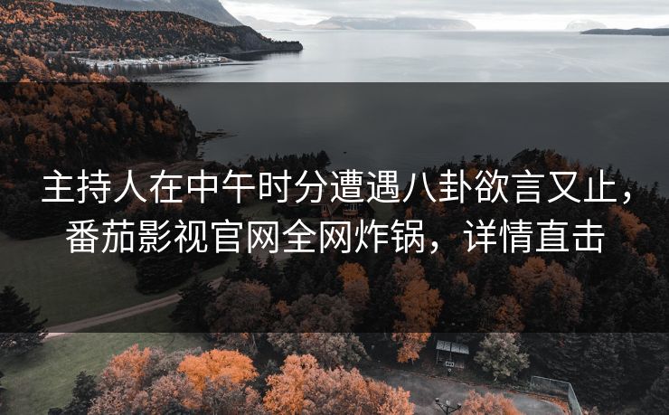 主持人在中午时分遭遇八卦欲言又止，番茄影视官网全网炸锅，详情直击